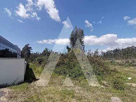 Land for sale in Oliveira de Azeméis, Portugal — €153,000