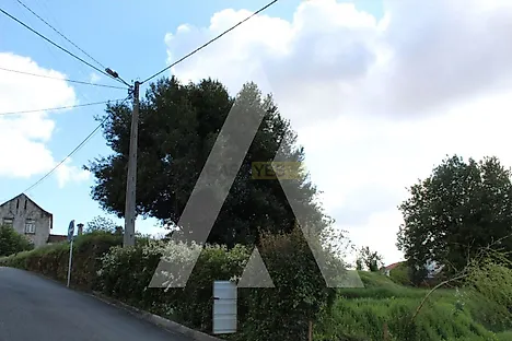 Land for sale in Albergaria-a-Velha, Portugal — €190,000