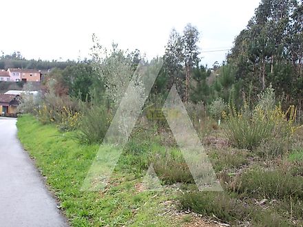 Terreno em Albergaria-a-Velha