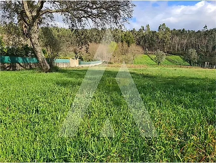 Land for sale in Águeda, Portugal — €87,500