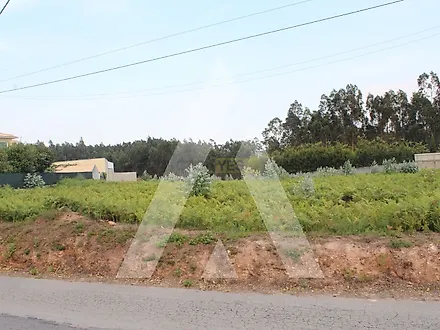 Land for sale in Albergaria-a-Velha, Portugal — €170,000