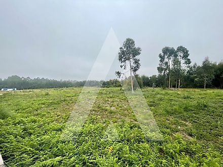 Land for sale in Santa Maria da Feira, Portugal — €209,000
