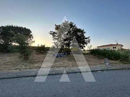 image-8f70nlVPRfh-0