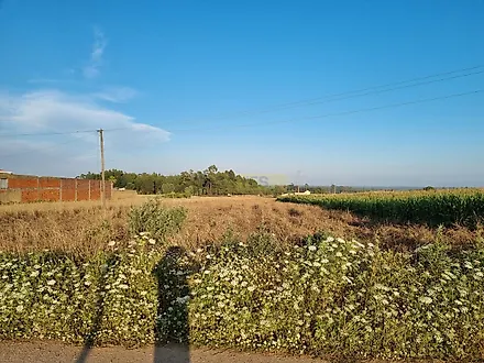 Land for sale in Vagos, Portugal — €70,000