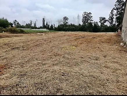 Land for sale in Aveiro, Portugal — €263,000