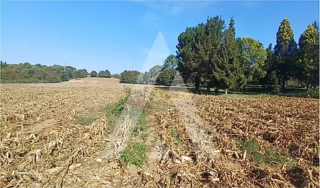 Land for sale in Águeda, Portugal — €385,000