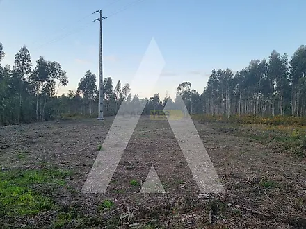 Land for sale in Vagos, Portugal — €55,000