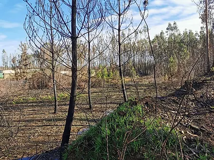 Land for sale in Águeda, Portugal — €462,900