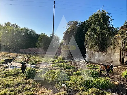 Land for sale in Ílhavo, Portugal — €85,000