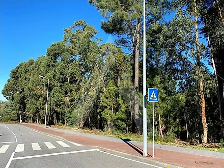 Land for sale in Anadia, Portugal — €220,000