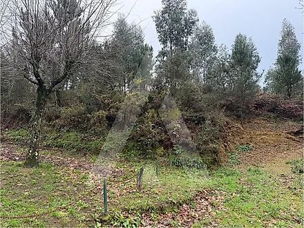 Land for sale in Oliveira de Azeméis, Portugal — €370,000