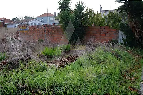 Land for sale in Ílhavo, Portugal — €68,000