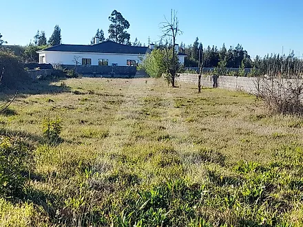 Terreno em Vagos