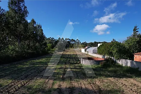 Terreno em Vagos