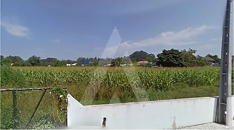 Land for sale in Albergaria-a-Velha, Portugal — €55,000