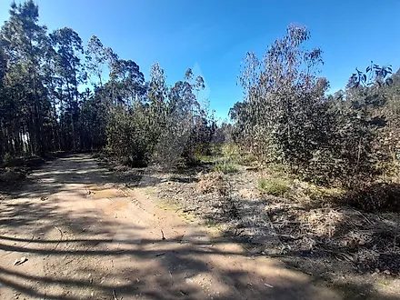 Land for sale in Águeda, Portugal — €130,000