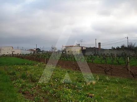 Land for sale in Águeda, Portugal — €105,000