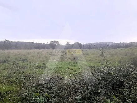 Land for sale in Mealhada, Portugal — €87,500