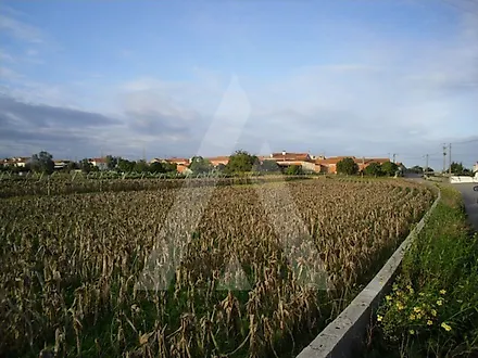 Land for sale in Aveiro, Portugal — €100,000