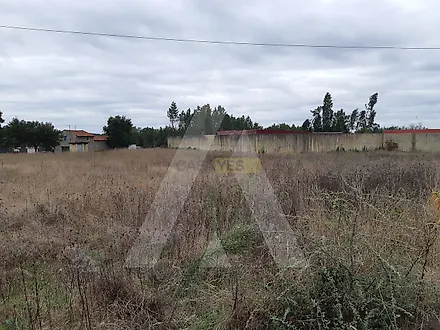 Land for sale in Águeda, Portugal — €65,000