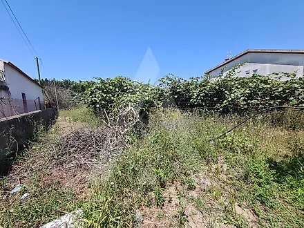 Land for sale in Oliveira do Bairro, Portugal — €55,000