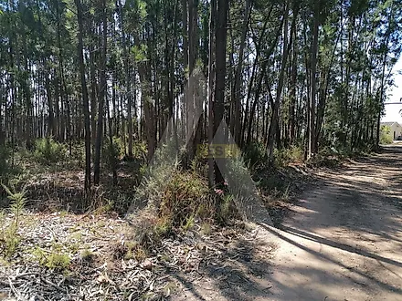 Land for sale in Águeda, Portugal — €92,500