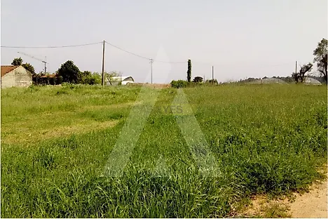 Land for sale in Oliveira do Bairro, Portugal — €362,000