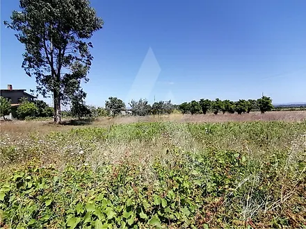 Terreno em Aveiro