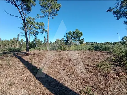 Land for sale in Ílhavo, Portugal — €57,000