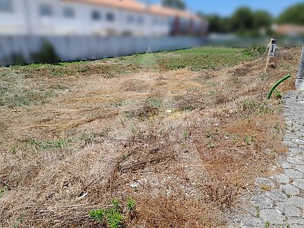Land for sale in Ílhavo, Portugal — €85,000