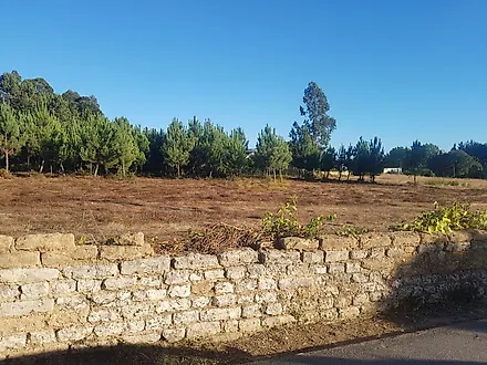 Land for sale in Anadia, Portugal — €210,000