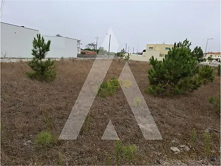 Land for sale in Vagos, Portugal — €75,000