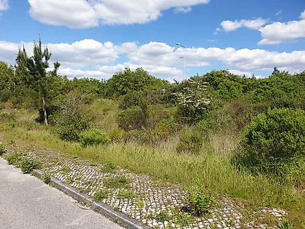 Terreno em Pombal