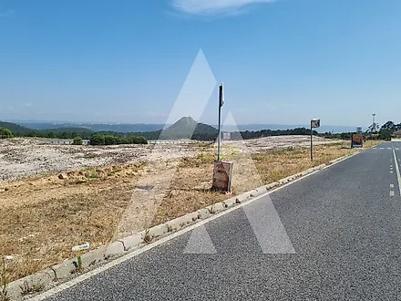 image-7daXjxIN9cw-0