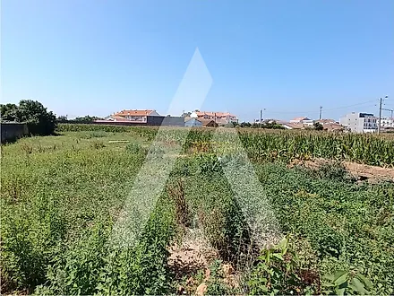 Land for sale in Oliveira do Bairro, Portugal — €195,000