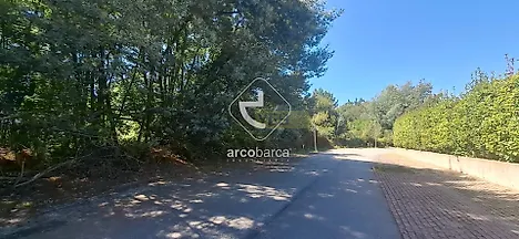 image-3eaCgPQnqjo-0