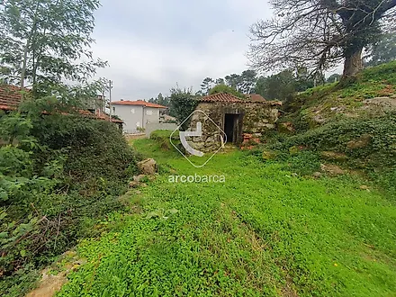 image-3tk3bSGDazC-0