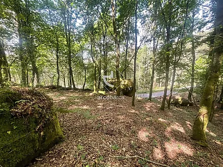 image-6dp543dHEP9-0