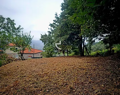 image-B6EGUGivSbD-0