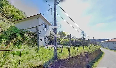 image-DVtM3ly2Yq9-0
