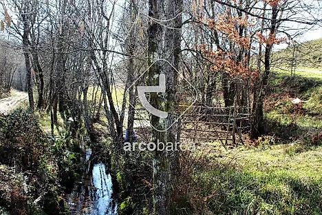 image-E7ozuGsiYtB-0