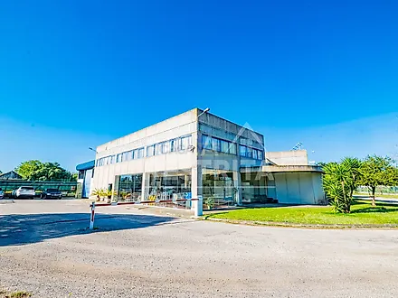 image-2fHReGkoubL-0