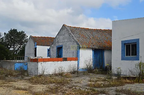 image-8IhzOCYSbQt-0