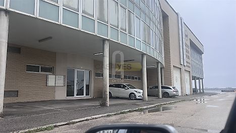 image-1vkFjOvmdRd-0