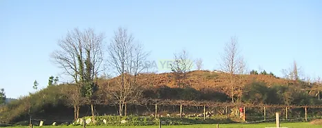 listing-A8QE4yoZXd0