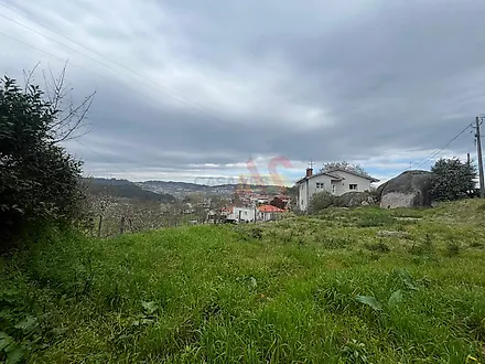 image-6eh44XT2A5g-0
