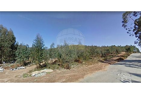 image-LmDocnuSsAt-0