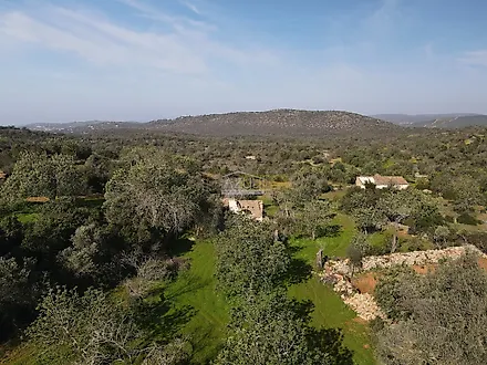 Land for sale in Loulé, Portugal — €175,000