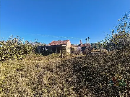 image-C5yUN7FyKpZ-0