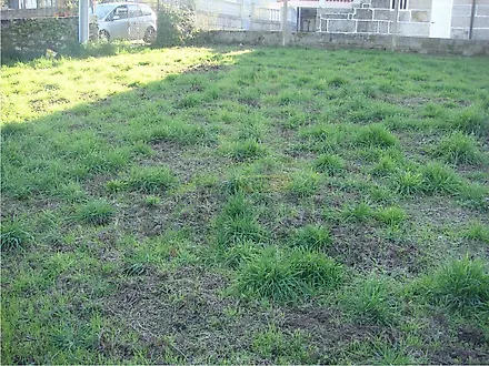 Land for sale in Caminha, Portugal — €130,000